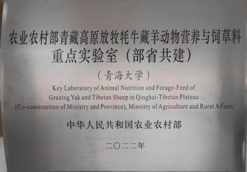 5078554e389946df90ac61375a14a51a.jpg 5078554e389946df90ac61375a14a51a.jpg